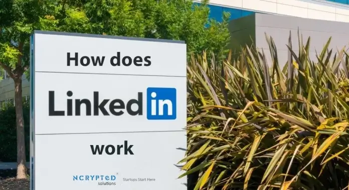 What is LinkedIn & How it works