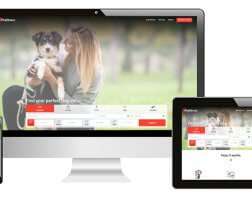 Launching PetSitCare - On Demand Pet Sitting Software that Will Take Your Startup to the Next Level