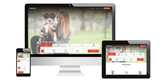 Launching PetSitCare - On Demand Pet Sitting Software that Will Take Your Startup to the Next Level 