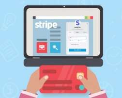 A Thoughtful Study: How does Stripe Work?