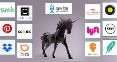 Unicorn Company