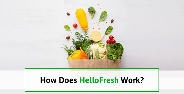 enlightening the points on how does hellofresh work hellofresh business model