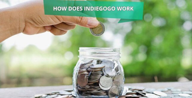 how does indiegogo work business and revenue model