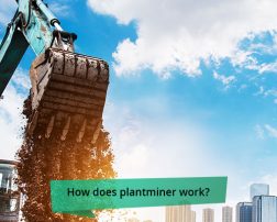 how-does-plantminor-work