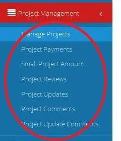 Project Management