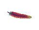 Apache
