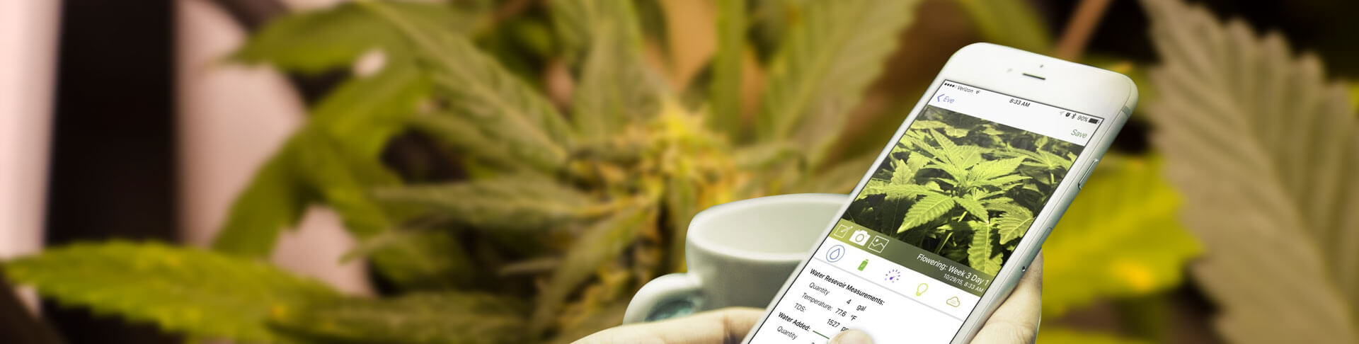 Cannabis App