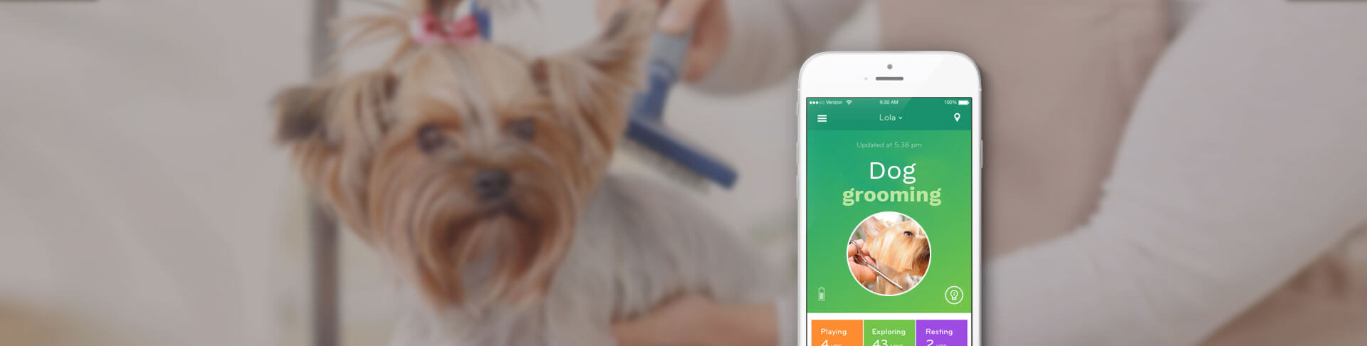 Dog Grooming App